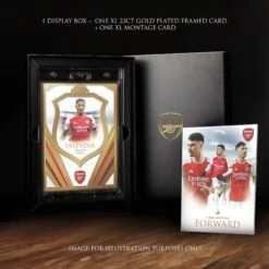 Futera - 2023/24 Arsenal UNIQUE XL Card Collection(Futera 2022 23 Arsenal Unique Xl Card Collection)