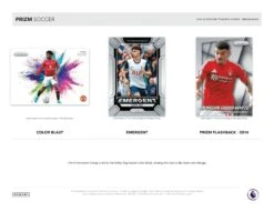Panini - 2024/25 Prizm Premier League Football (Soccer) - Breakaway Box(Panini 2024 25 Prizm Premier League Football Soccer Breakaway Box) 8 Panini - 2024/25 Prizm Premier League Football (Soccer) - Breakaway Box(Panini 2024 25 Prizm Premier League Football Soccer Breakaway Box) -The Card Vault Store 2024 25 Panini Prizm Breakaway EPL Soccer Cards Sell Sheet 3