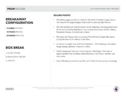 Panini - 2024/25 Prizm Premier League Football (Soccer) - Breakaway Box(Panini 2024 25 Prizm Premier League Football Soccer Breakaway Box) 10 Panini - 2024/25 Prizm Premier League Football (Soccer) - Breakaway Box(Panini 2024 25 Prizm Premier League Football Soccer Breakaway Box) -The Card Vault Store 2024 25 Panini Prizm Breakaway EPL Soccer Cards Sell Sheet 5