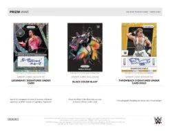 Panini - 2024 Prizm WWE Wrestling Under Card - Hobby Box(Panini 2024 Prizm Wwe Wrestling Under Card Hobby Box) -The Card Vault Store 2024 Panini Prizm Under Card WWE Trading Cards Sell Sheet 3