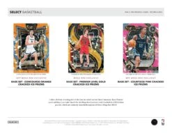 Panini - 2024/25 Select Basketball (NBA) - Mega Box(Panini 2024 25 Select Basketball Nba Mega Box) 9 Panini - 2024/25 Select Basketball (NBA) - Mega Box(Panini 2024 25 Select Basketball Nba Mega Box) -The Card Vault Store image3 5fd92311 ab24 49ef 94db 7cf9c8ebcf4c