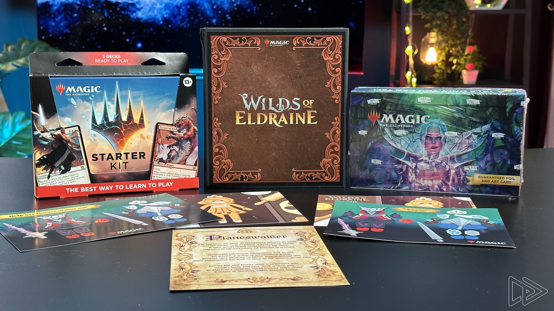 The Card Vault Store -The Card Vault Store mtg wilds of eldraine products 12